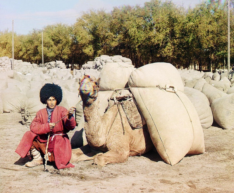 یک چوپان شتر ترکمن